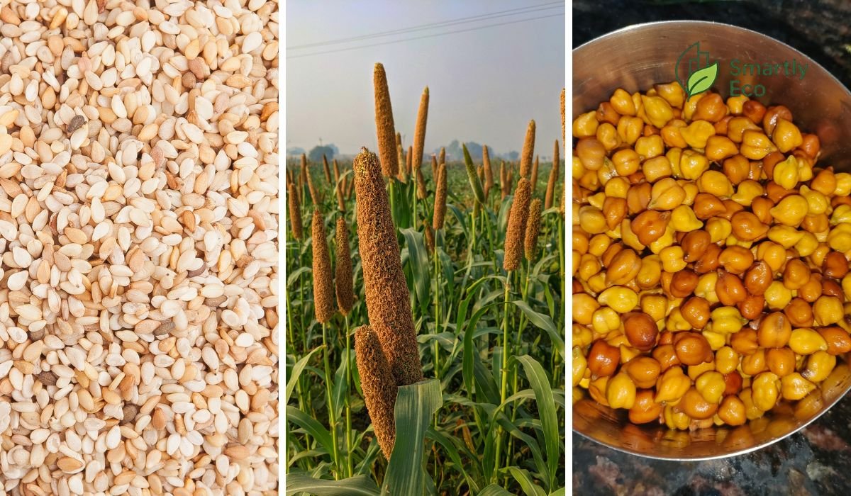 high calcium rich sources